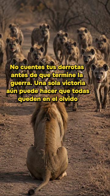 @Ciudadano_Conceptual
