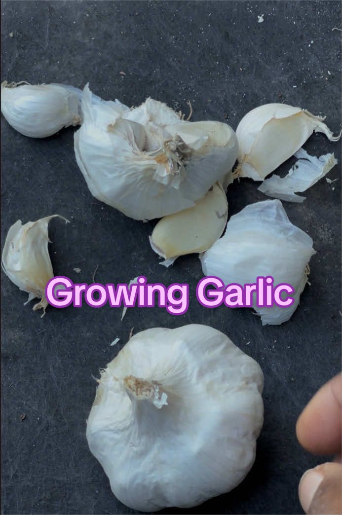 @Gardening4ME
