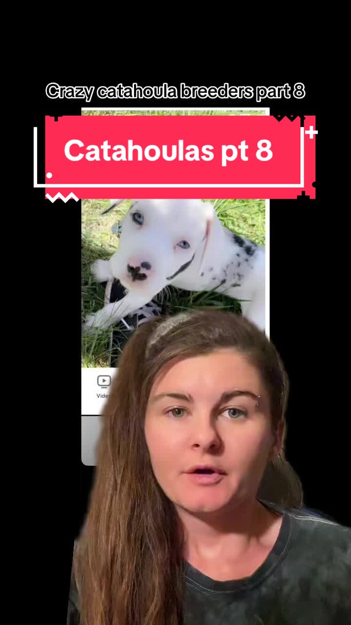 @Jess Shark🐾DOG PACK🐾