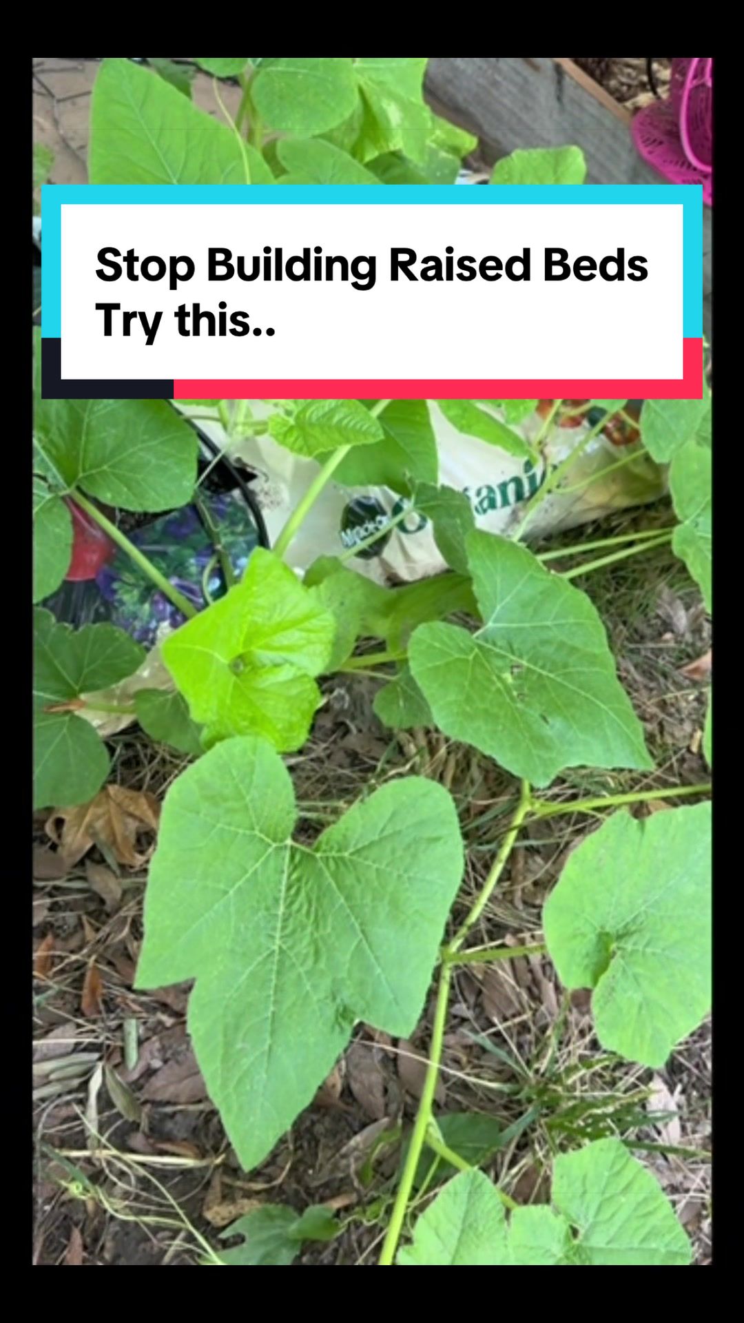 @YoShe Grows 🌱
