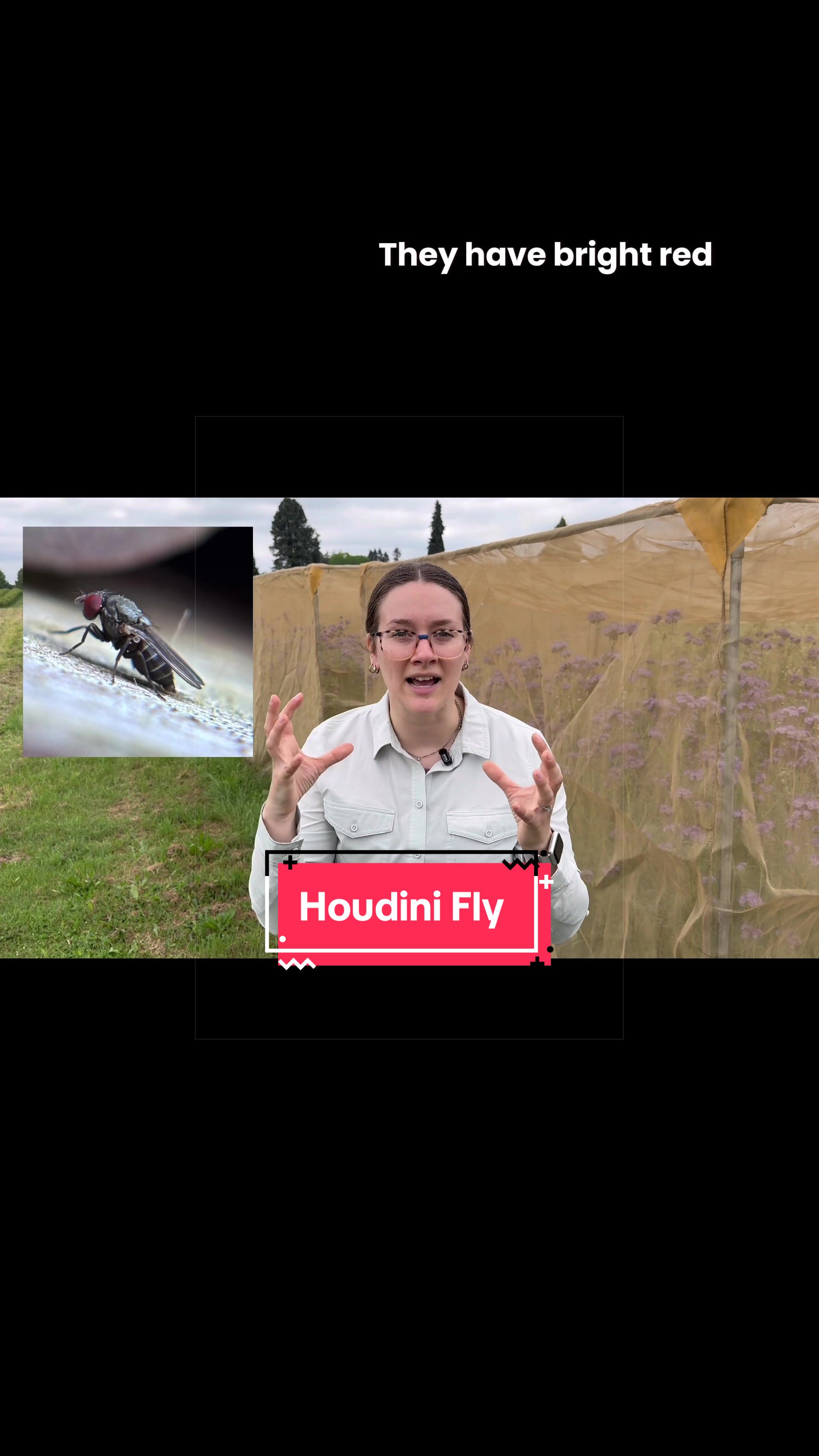 @Entomology Abby