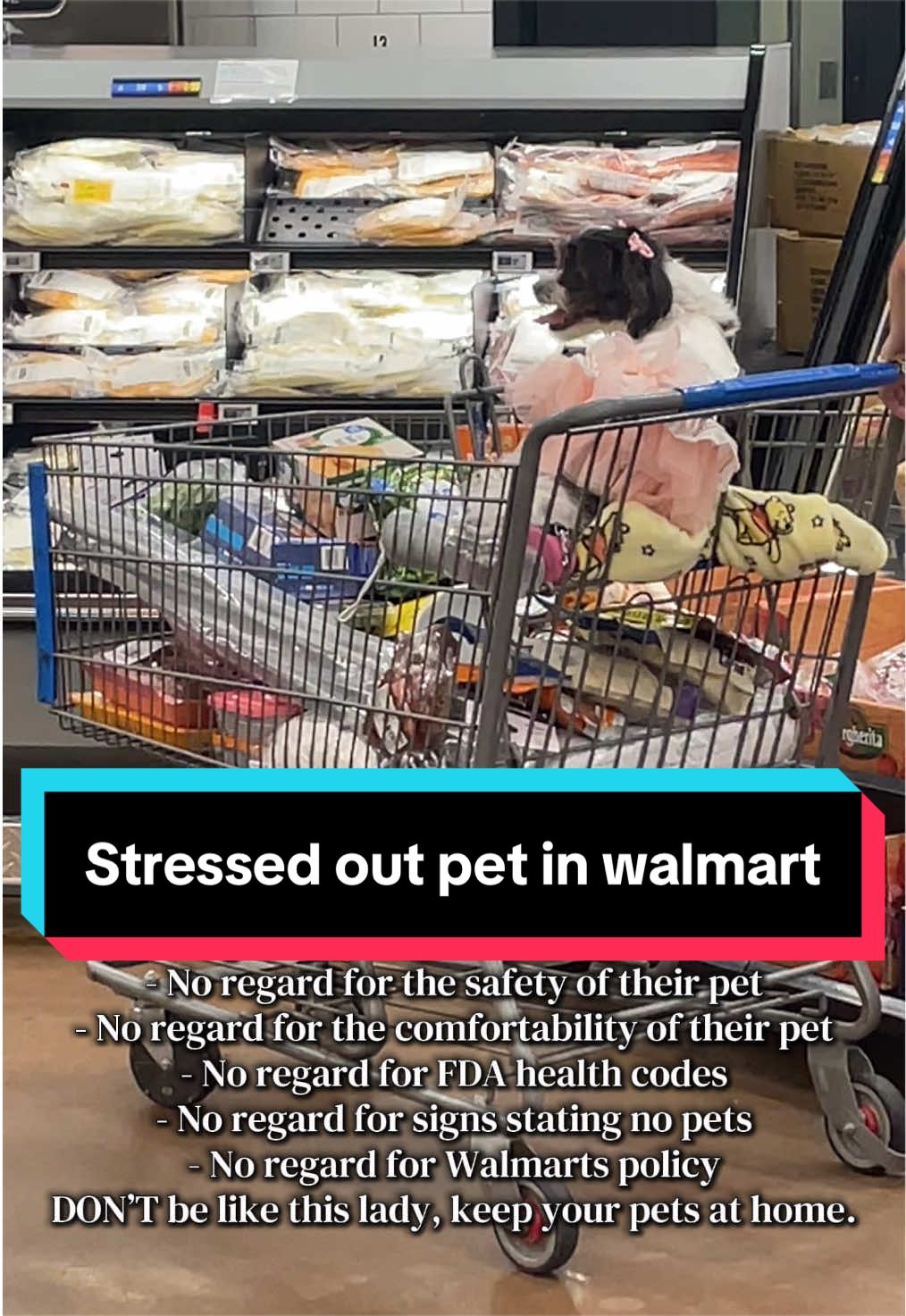 @Dakota & Pups