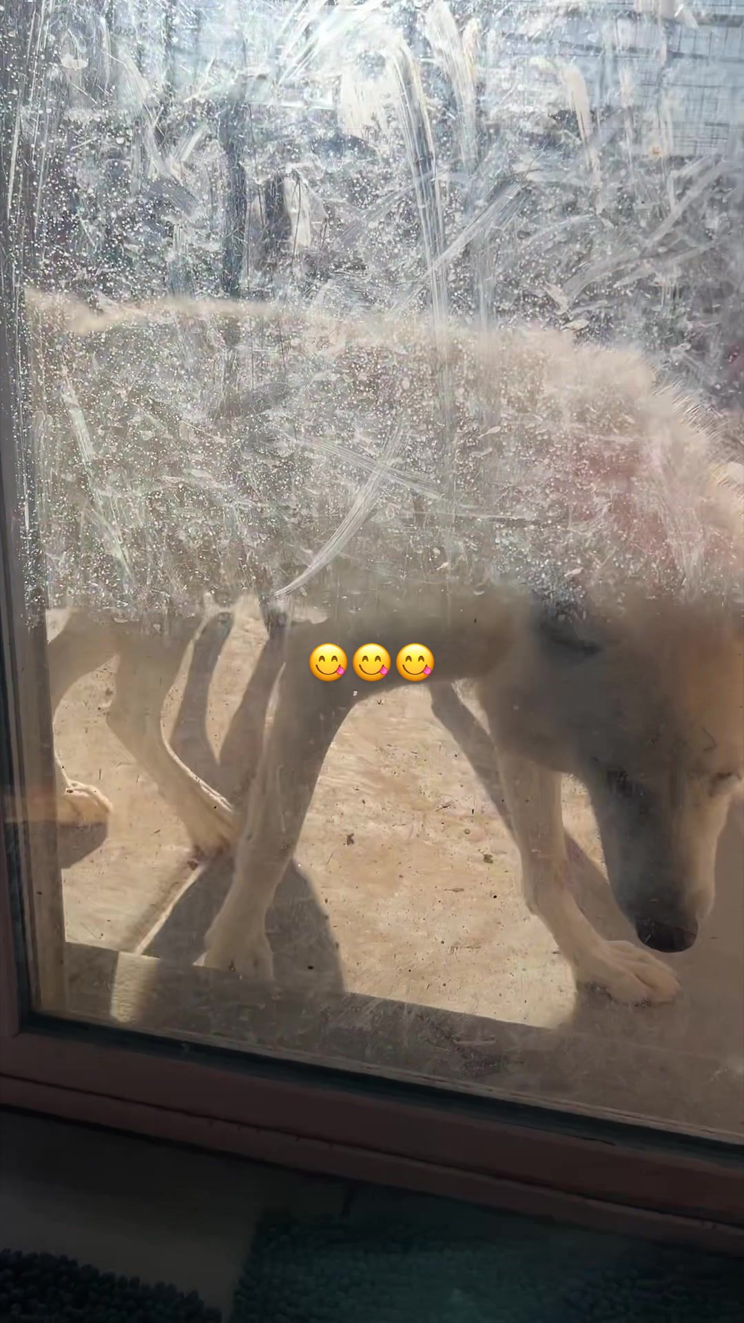 @KeeperOfTheWolves
