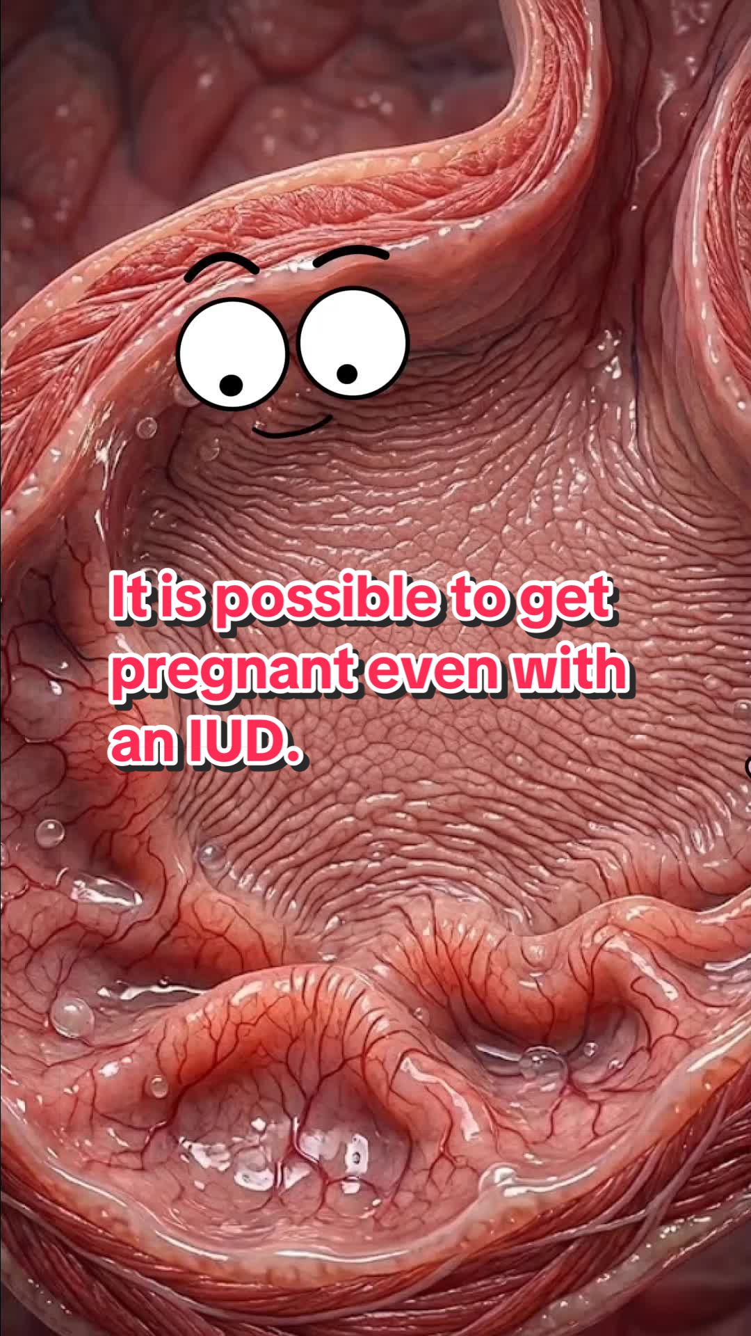 @Funny Animations