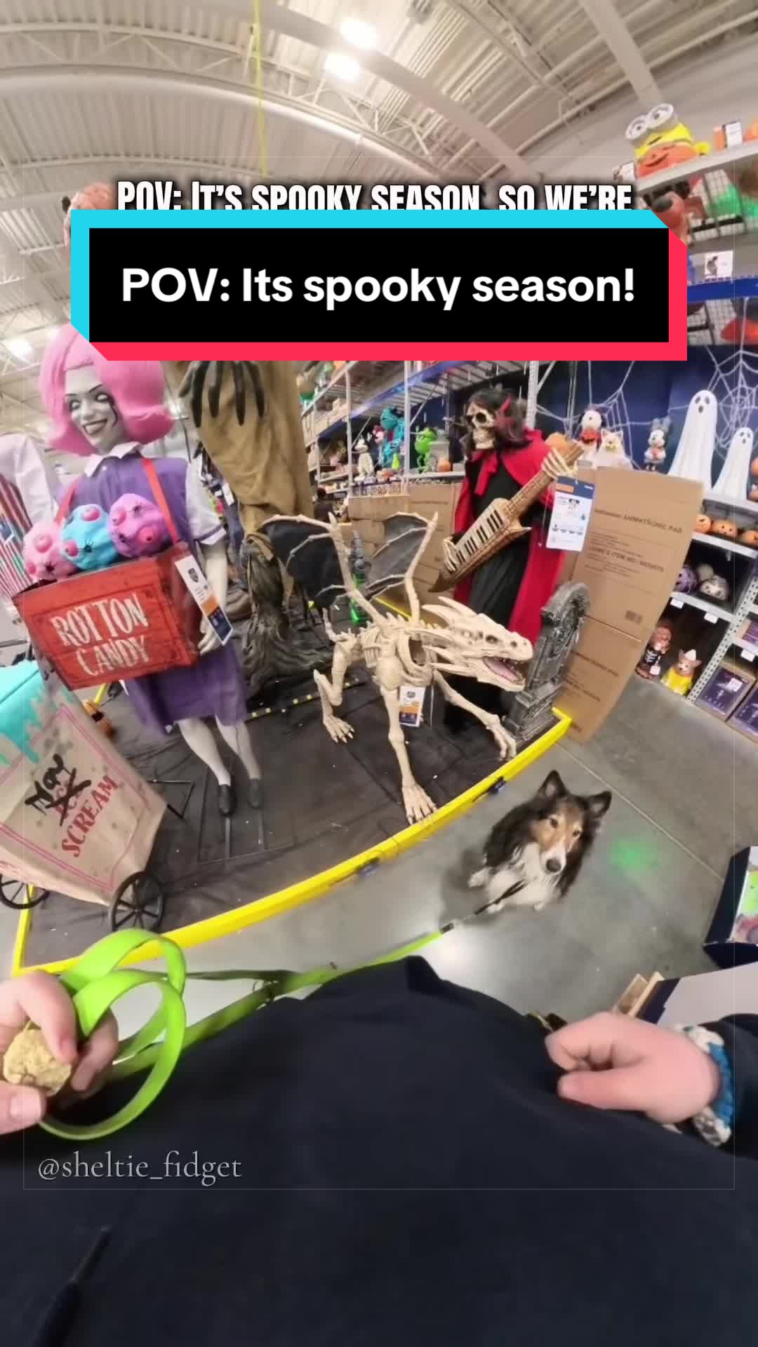 @Dakota & Pups