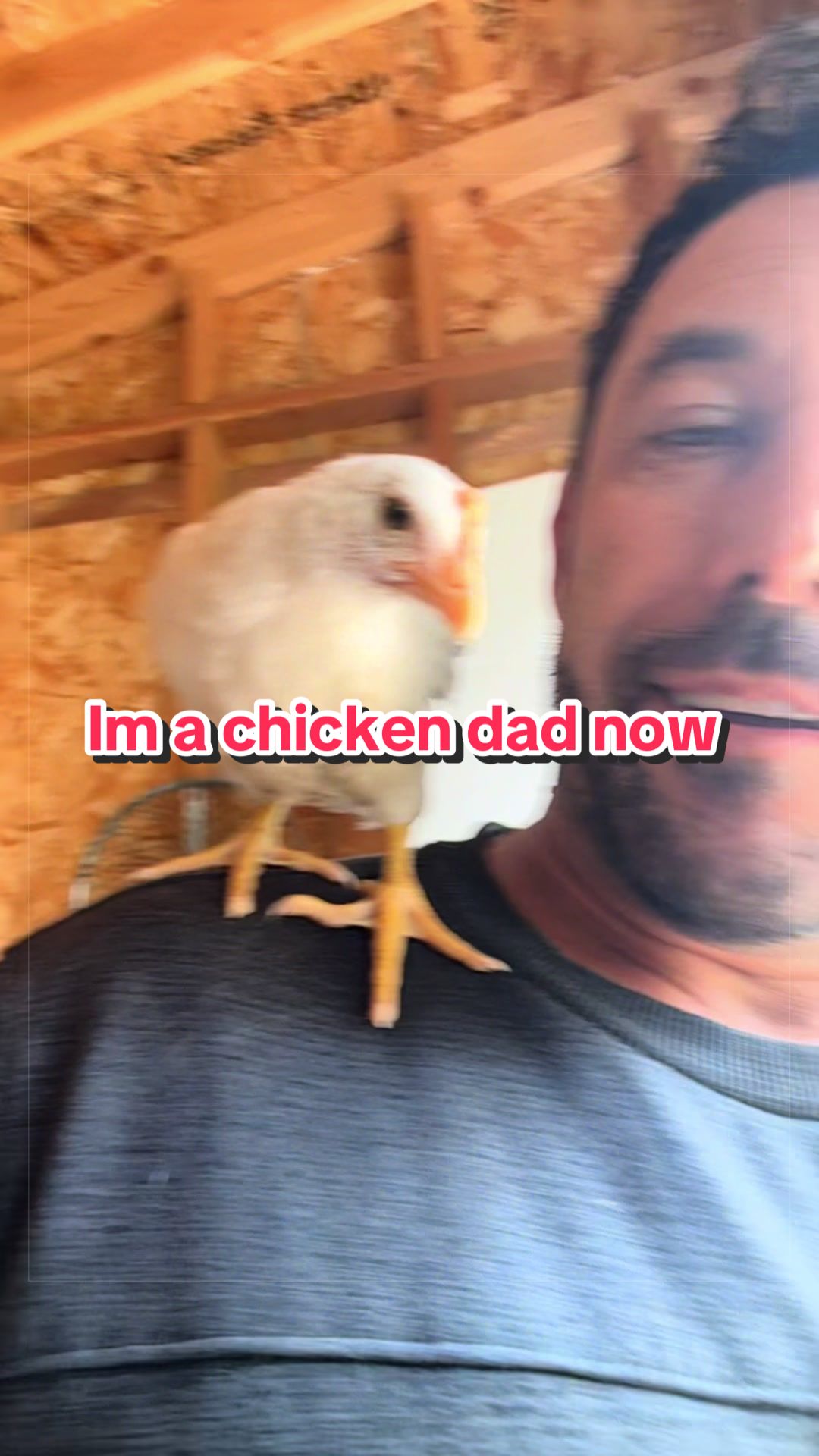 @lappdaddyapproved
