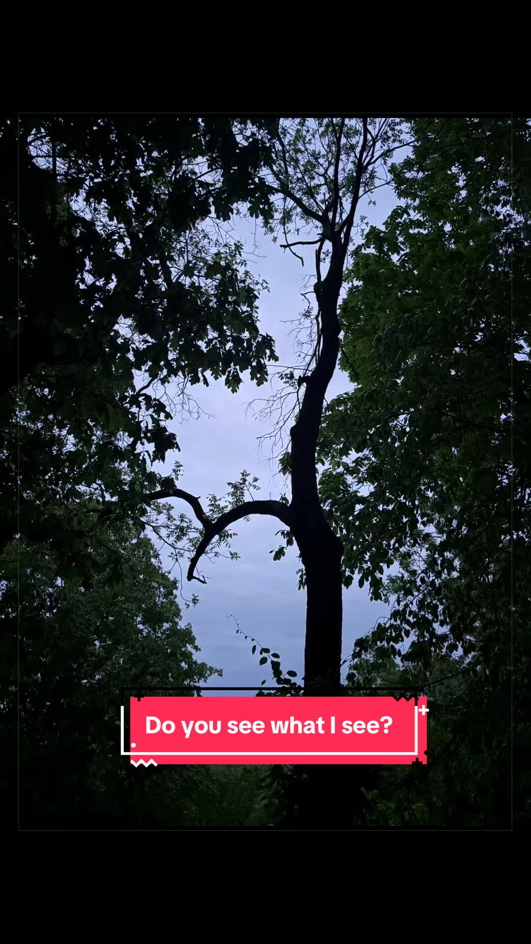@aerial_threat