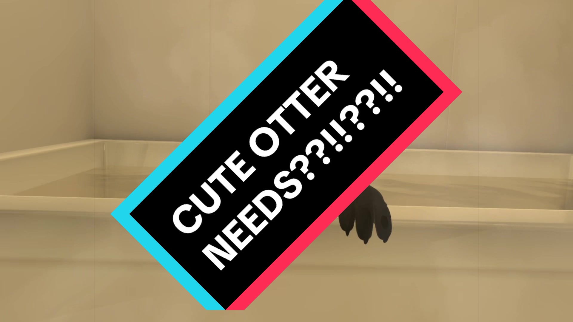 @OtterPop
