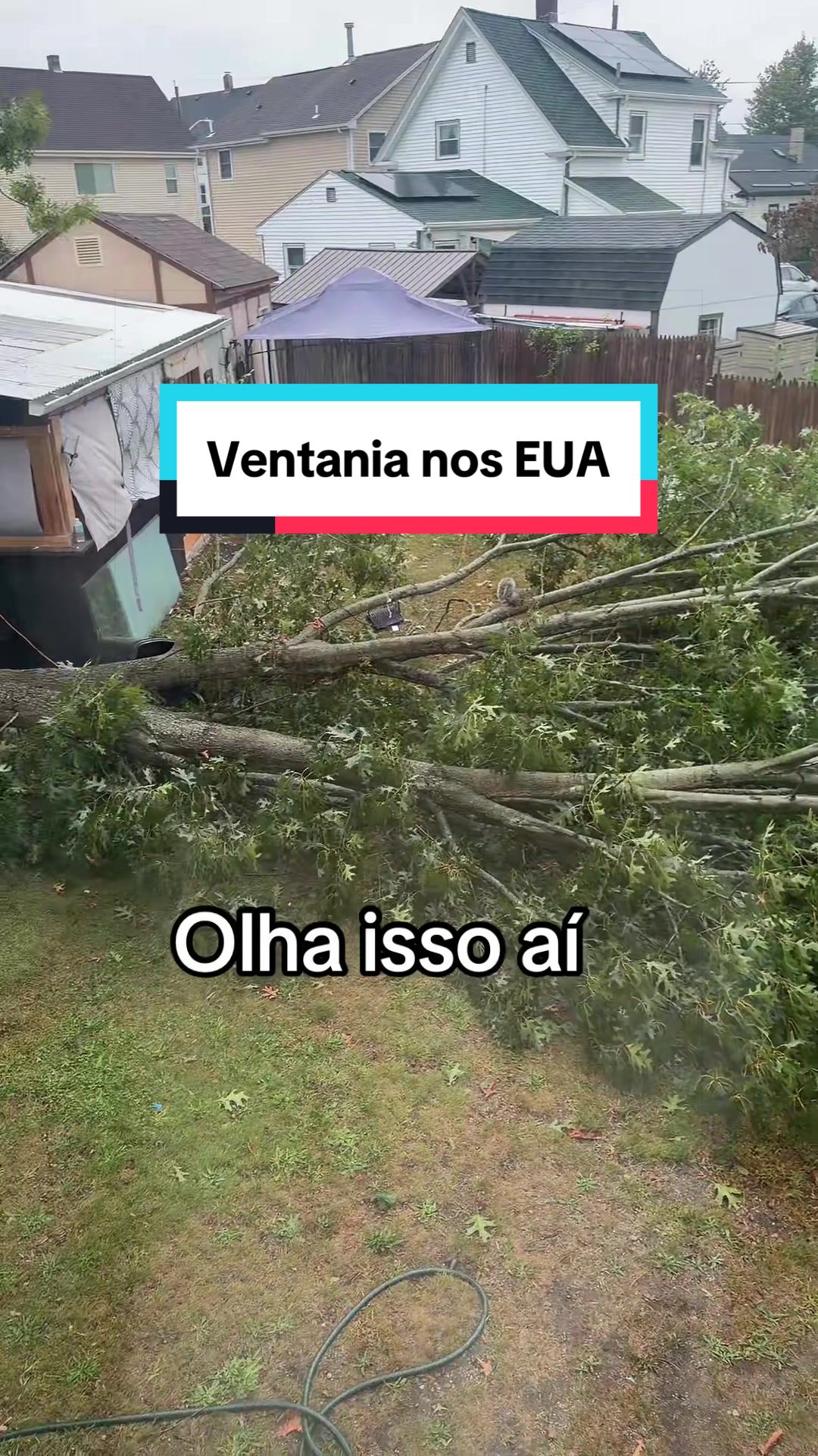 @Alexia.Ribeiro