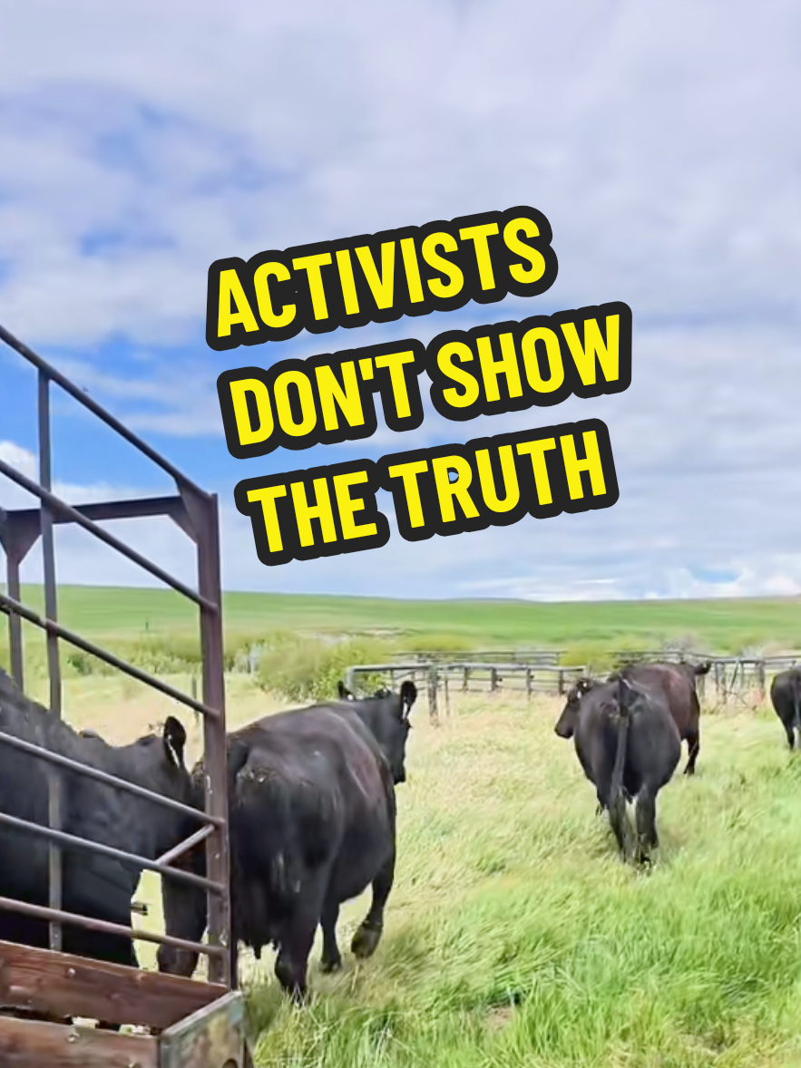@1HANDNFARMING 🦾🌾🐂🚜