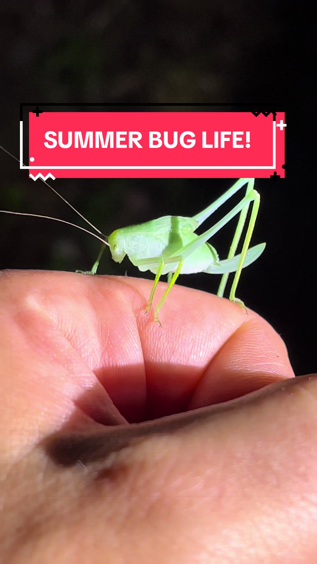 @DoctorBugz