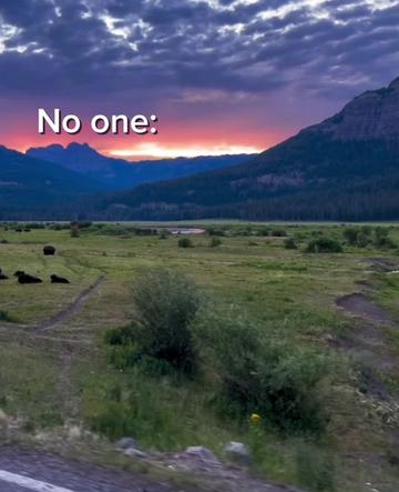 @Yellowstone National Park