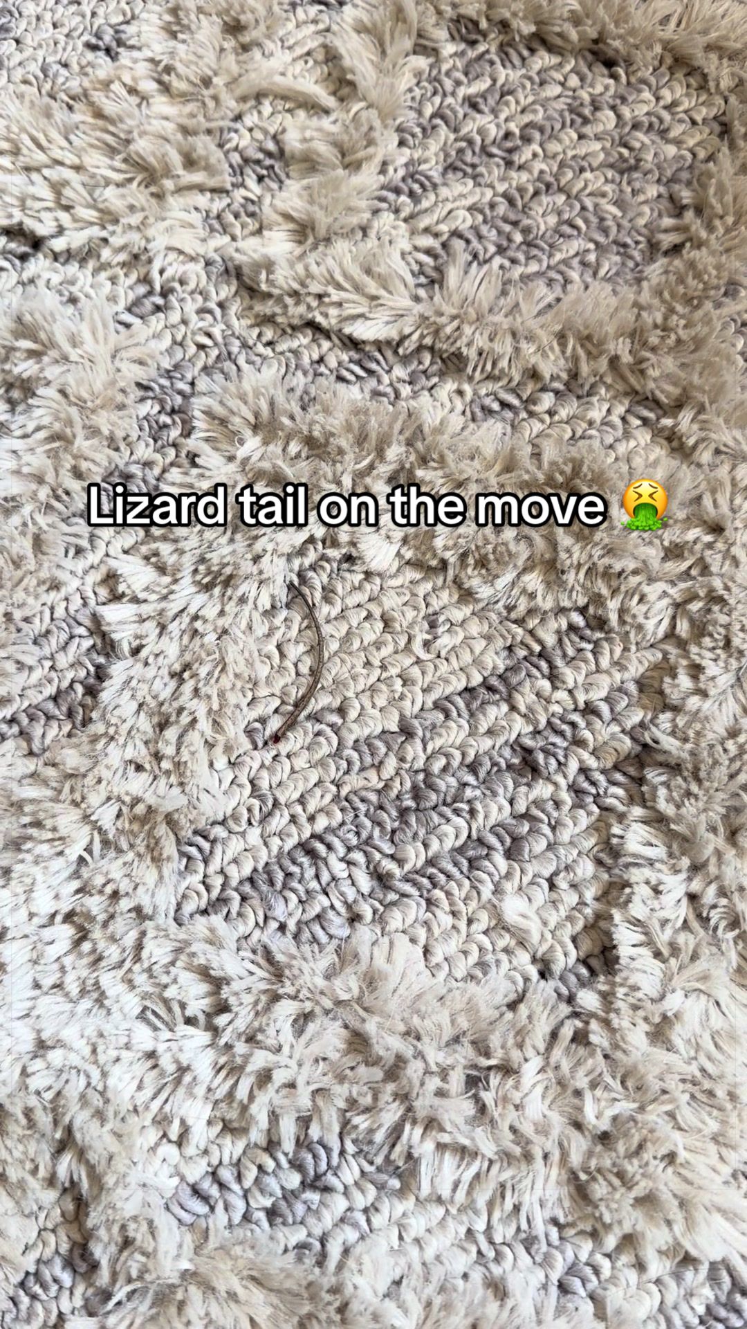 @Laurynnico