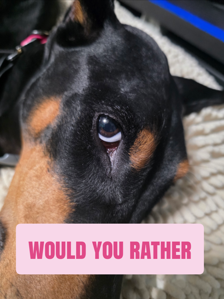 @Dobergoats Cash & Kaia