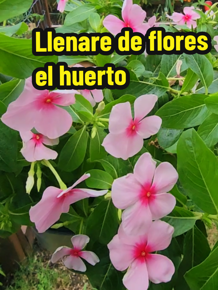 @Mi Rinc&oacute;n Favorito
