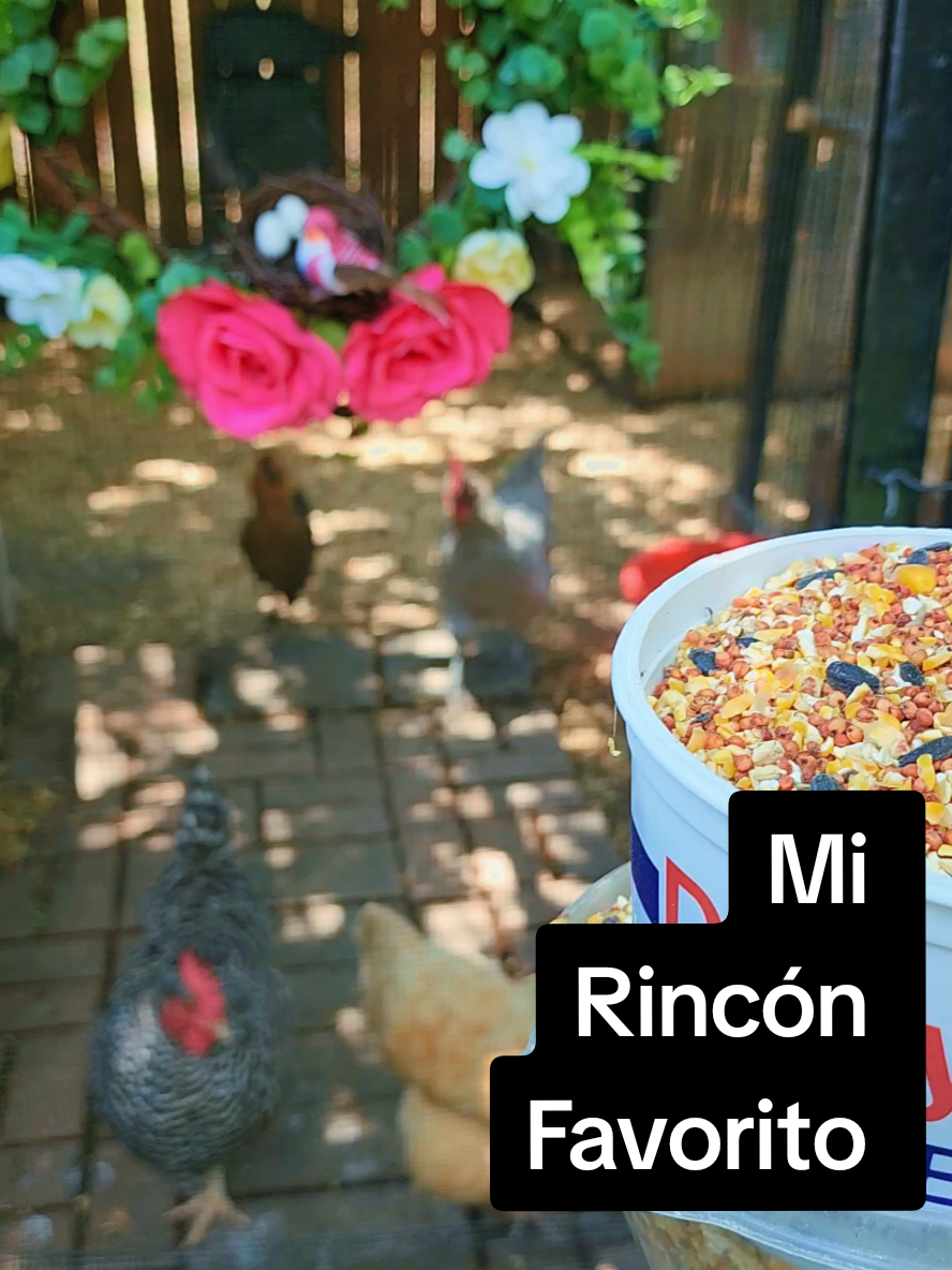 @Mi Rinc&oacute;n Favorito