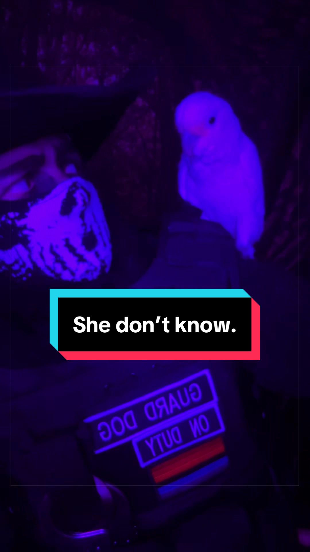 @𝐒𝐓𝐀𝐓𝐈𝐂