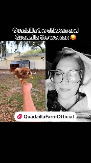 @The real Quadzilla, DNP