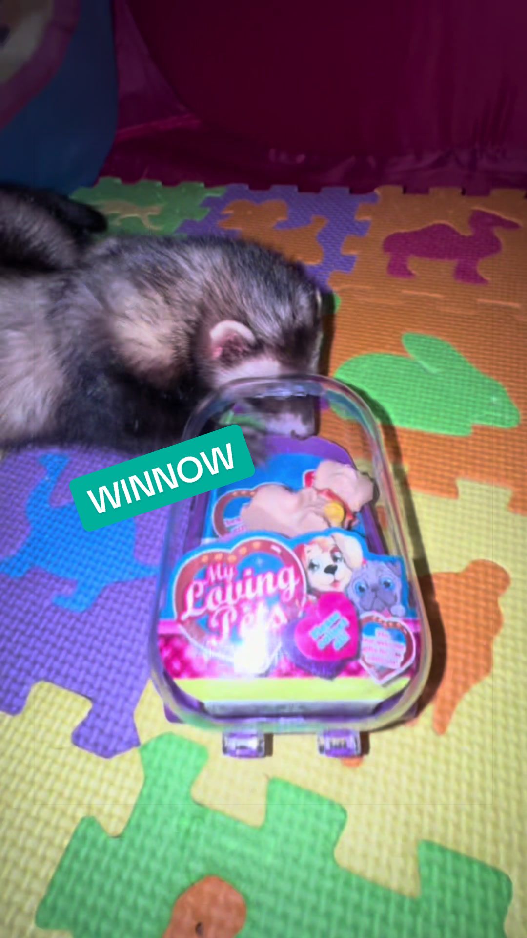 @Veritologic