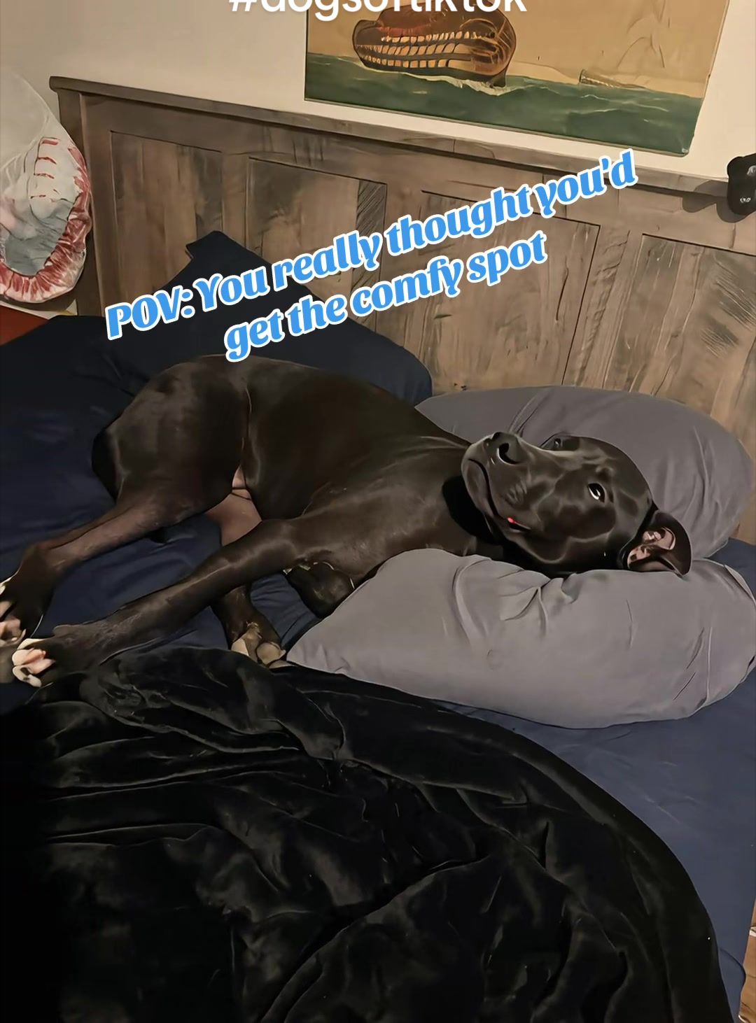 @Mo