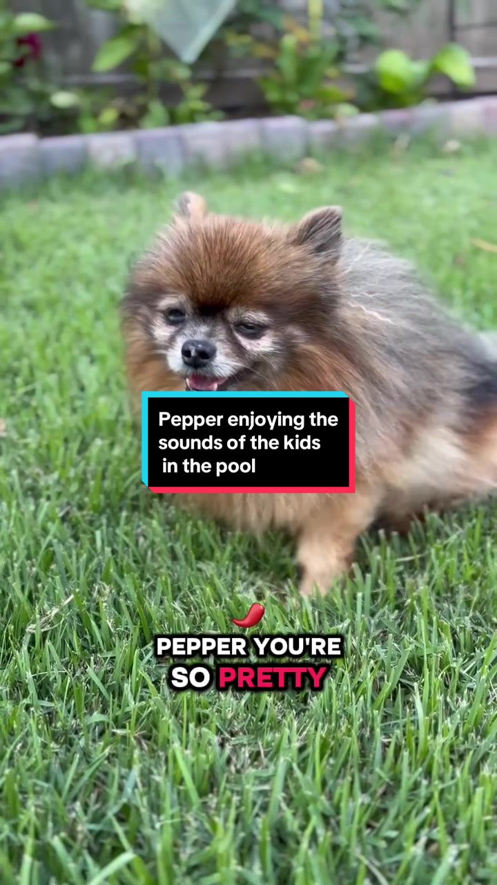 @all.my.babies