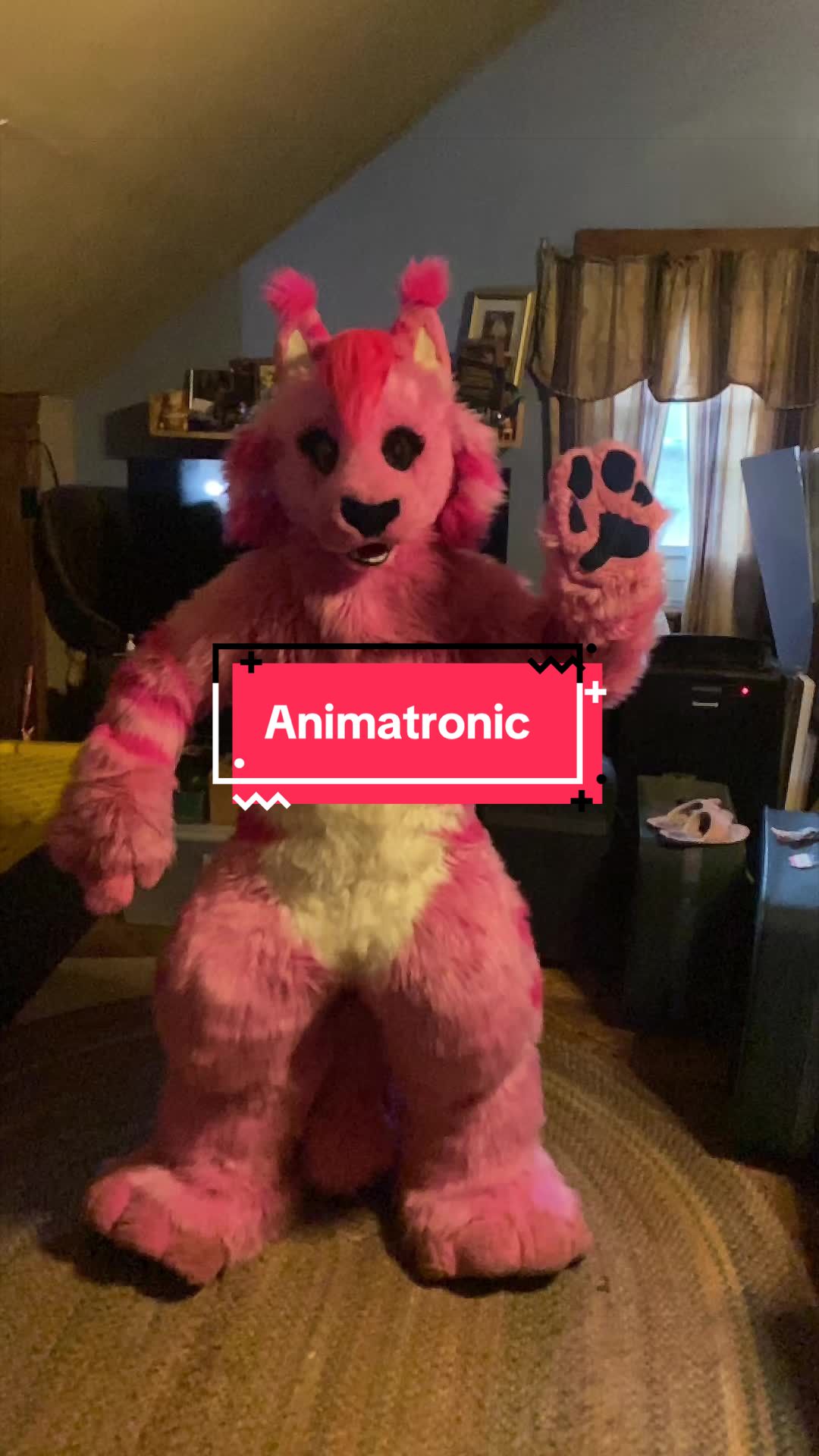 @Annakitty13