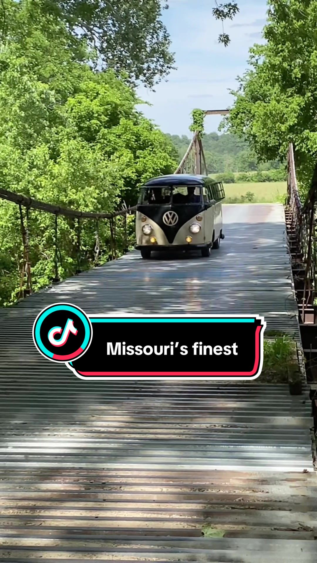 @Cat