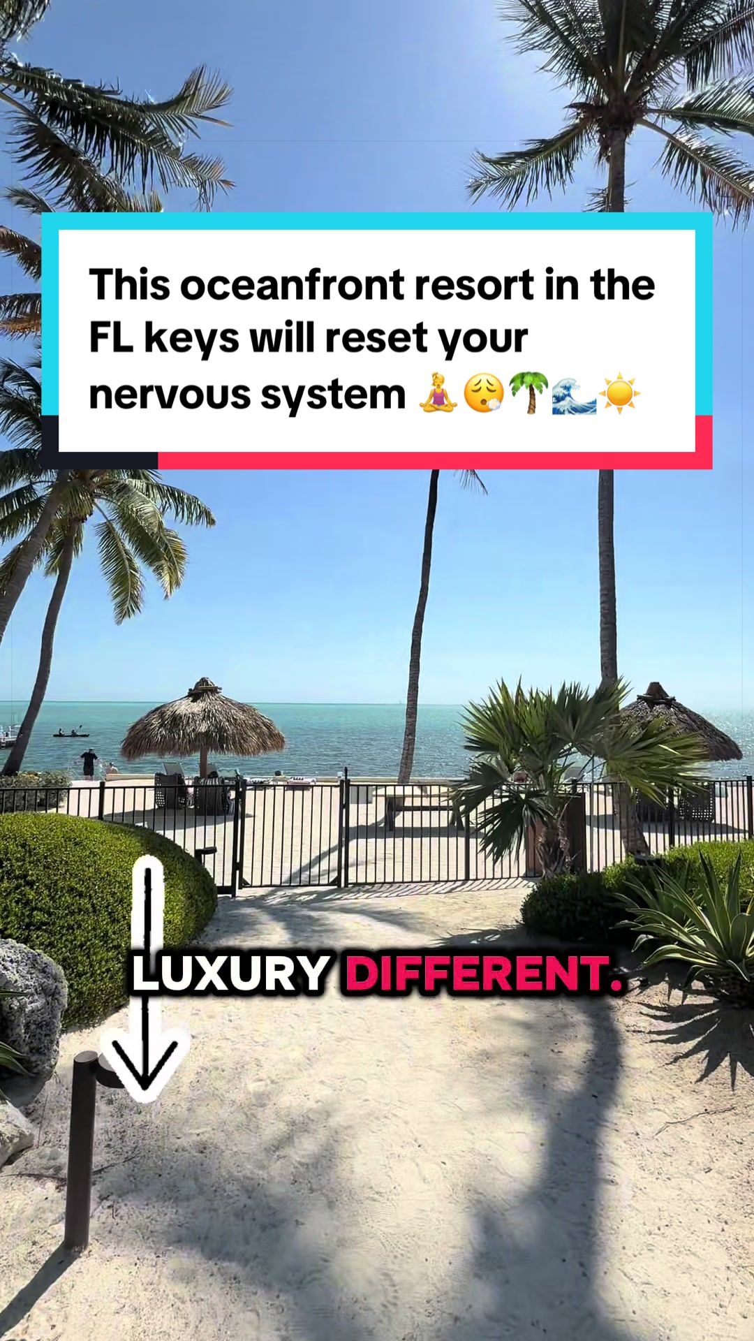 @Chrissy Mak