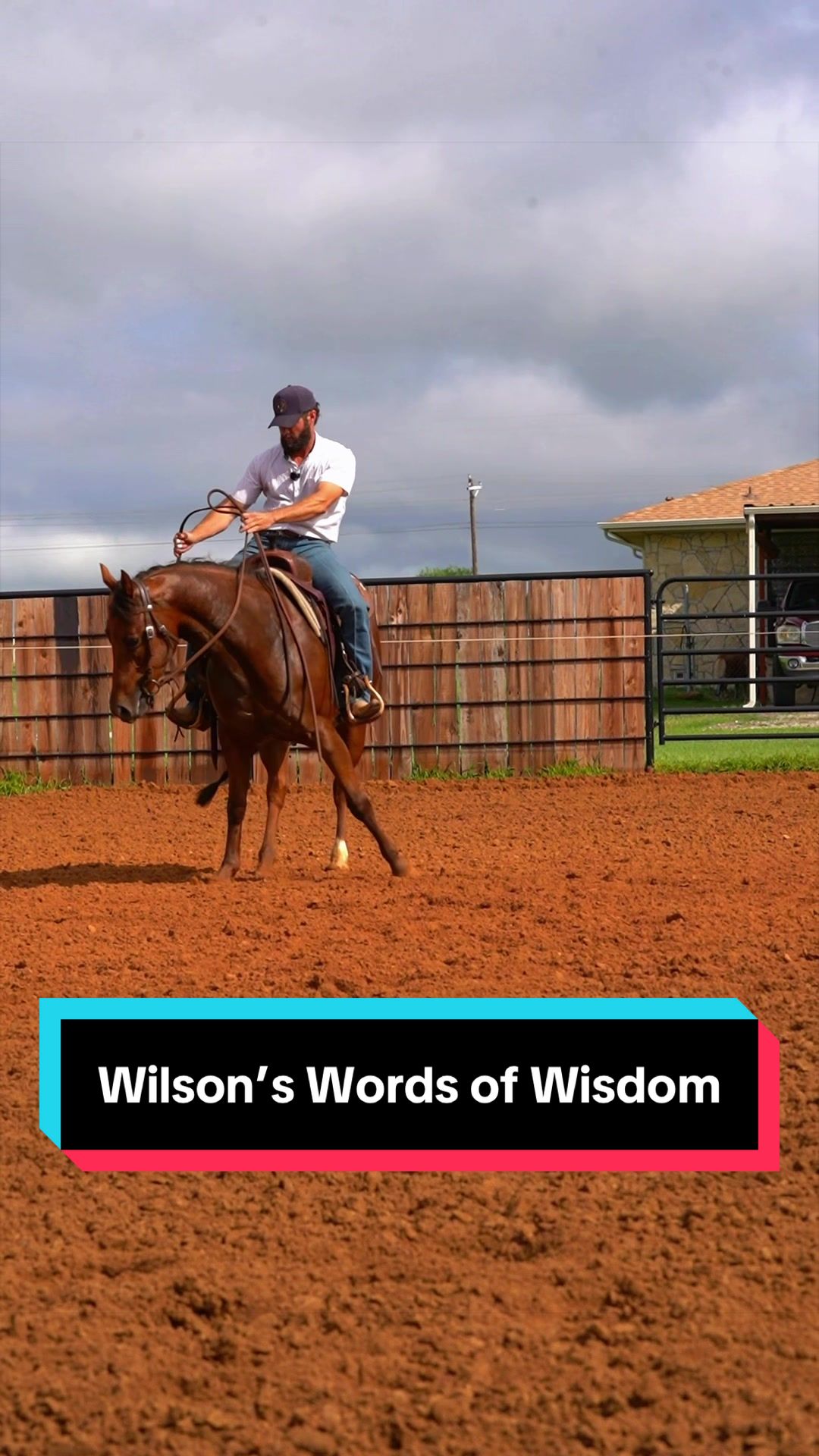@WS Horses