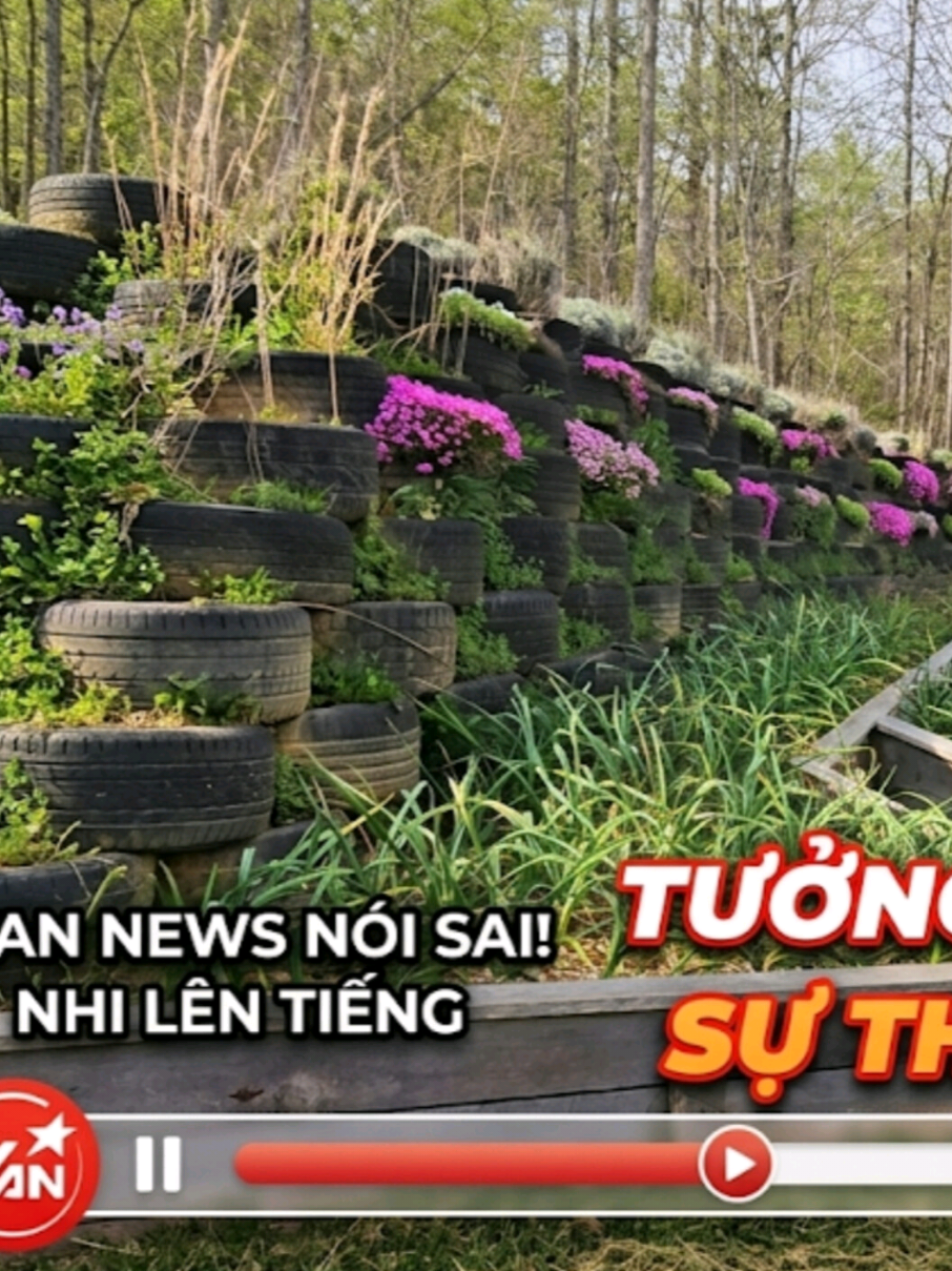 @Vợ Việt Chồng Amish