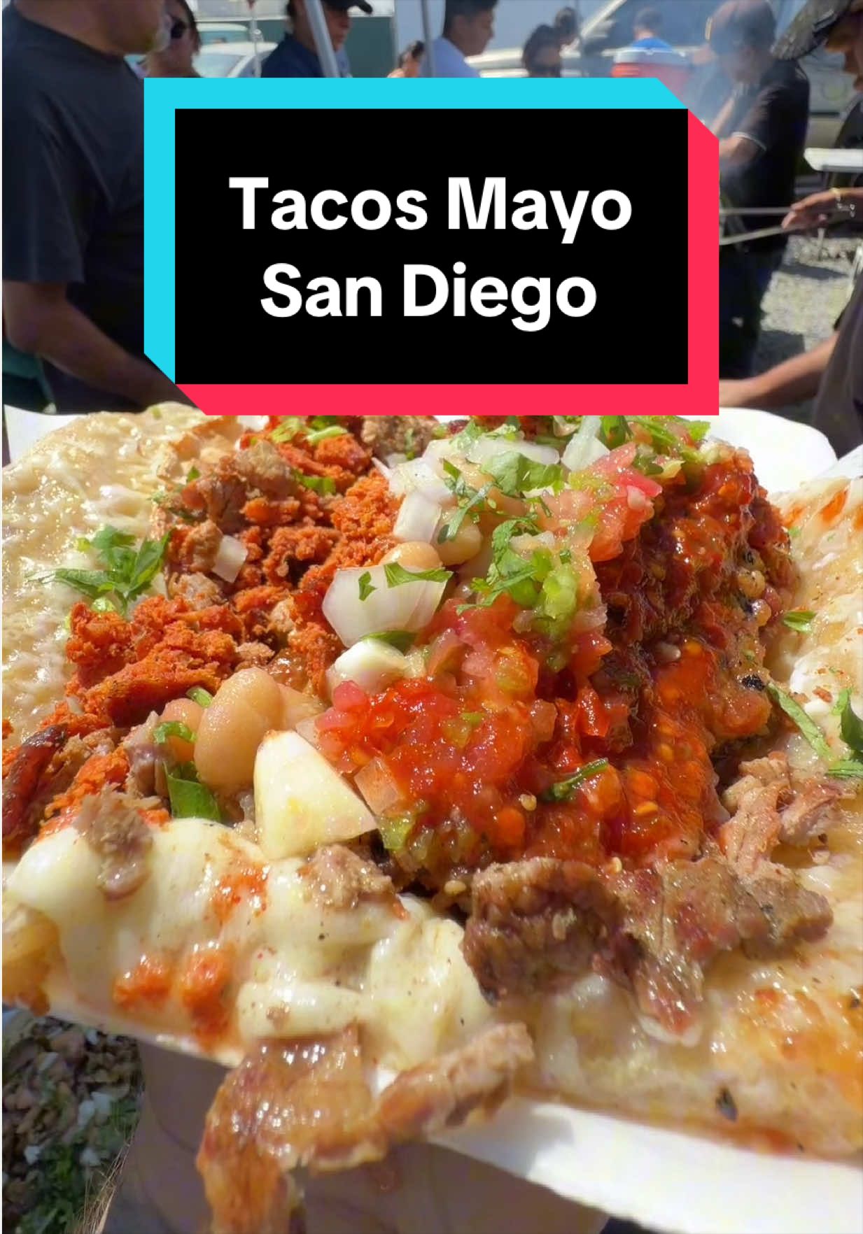 @The Taco Fiend