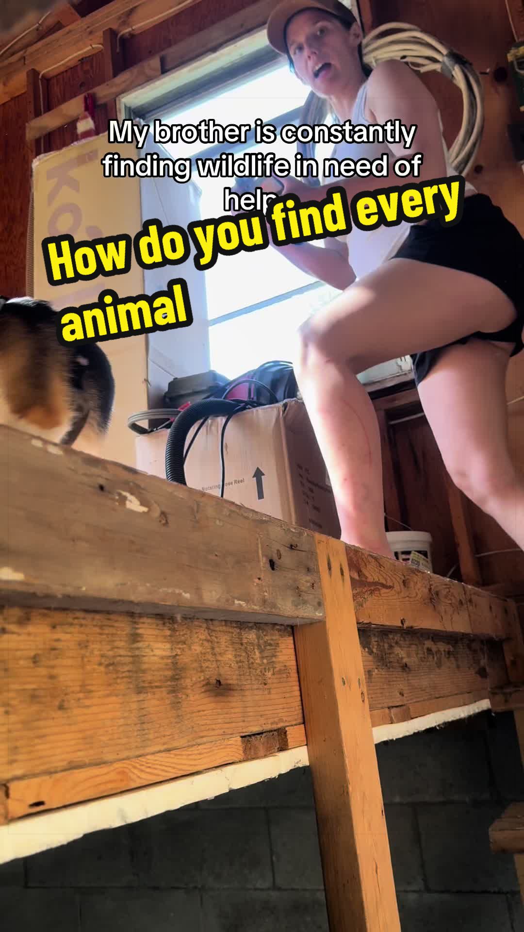 @Julie Kobylarz
