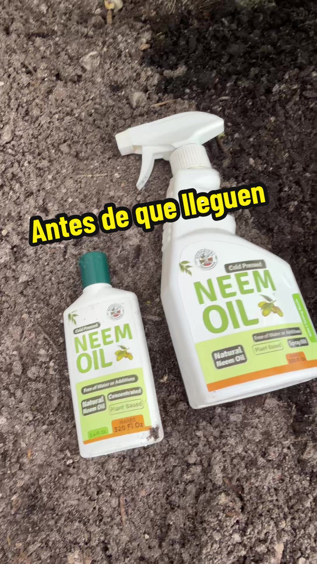 @Aprendiendo con Ana