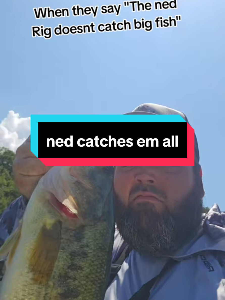 @SP_The_Ned_Master