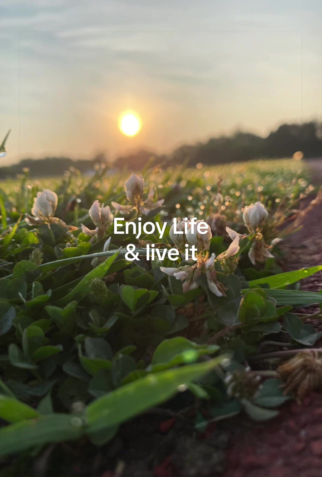 @FnT
