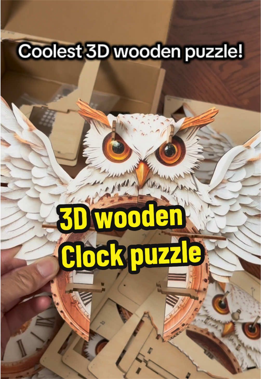 @KTrickstery Magician