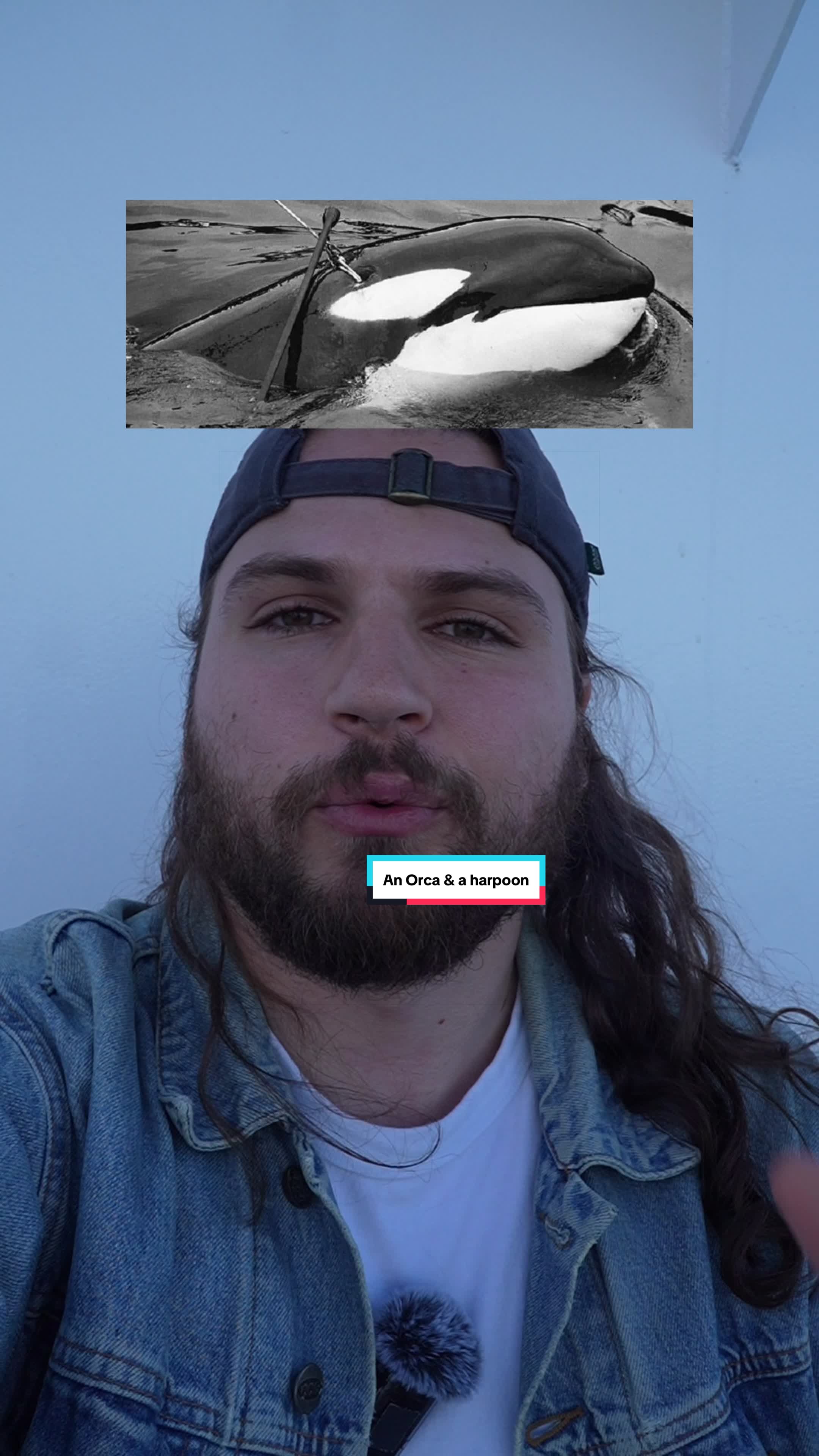 @The Orca Man