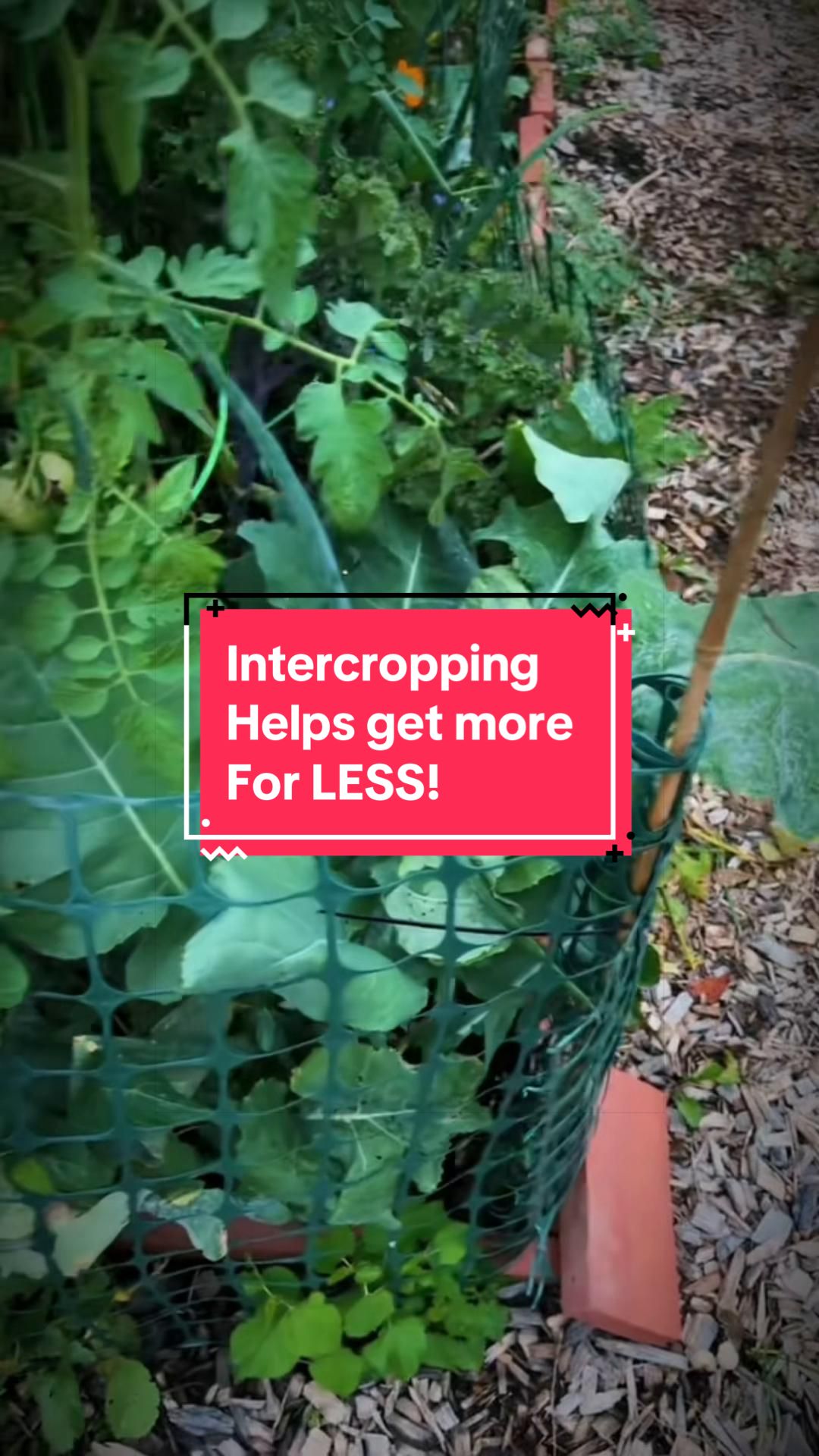 @greengirlgardens