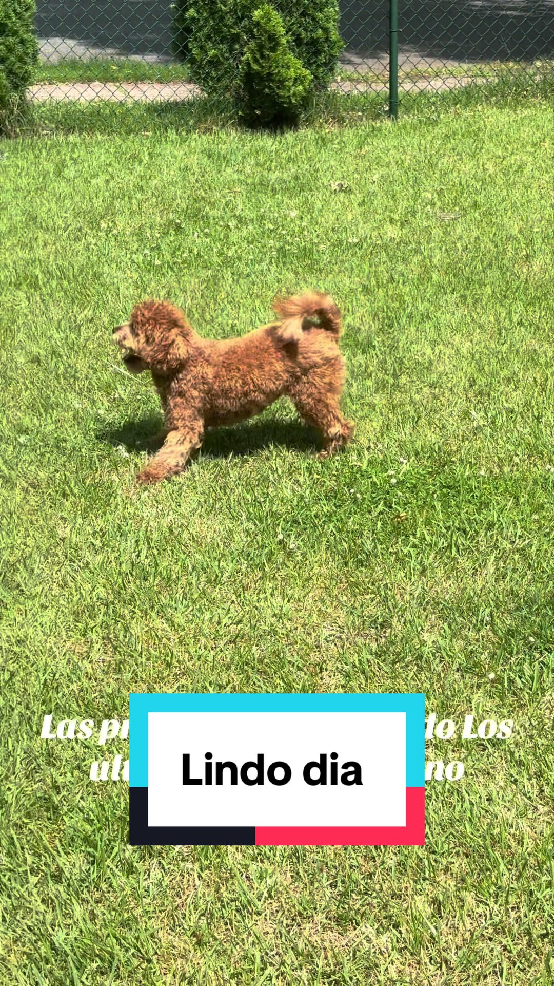 @PattyLove BabyNova 🐾🎀🥰