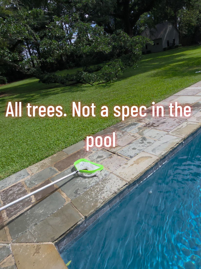 @Rex | BR Pool Pro