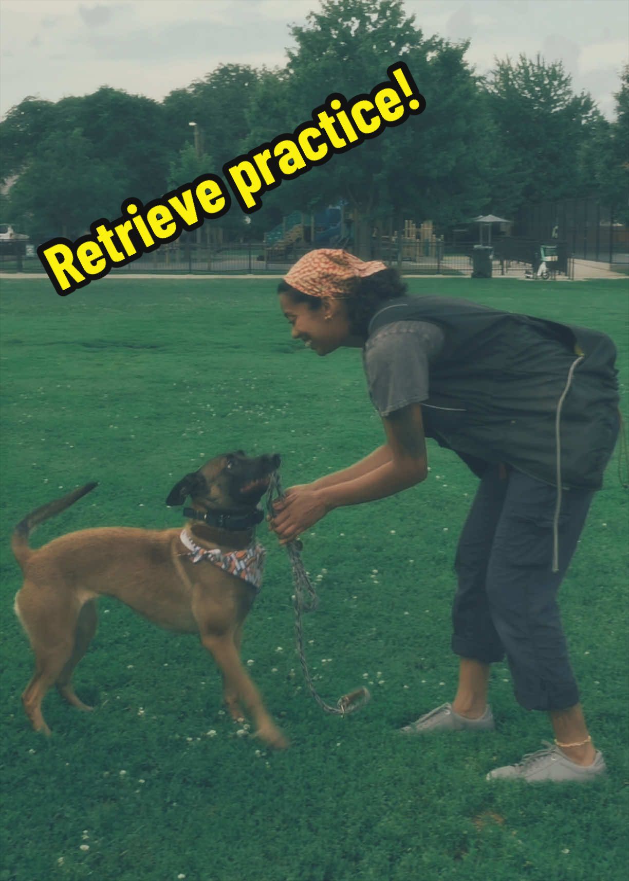 @dogstrainjen