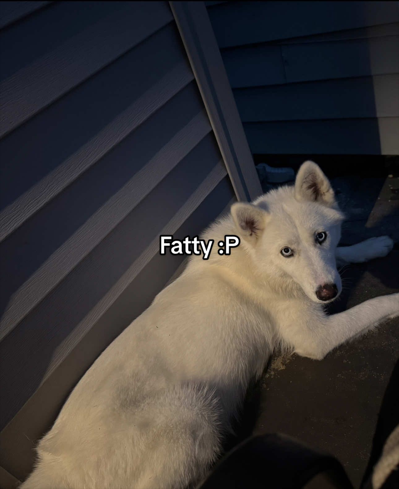 @Kai_benchesweight
