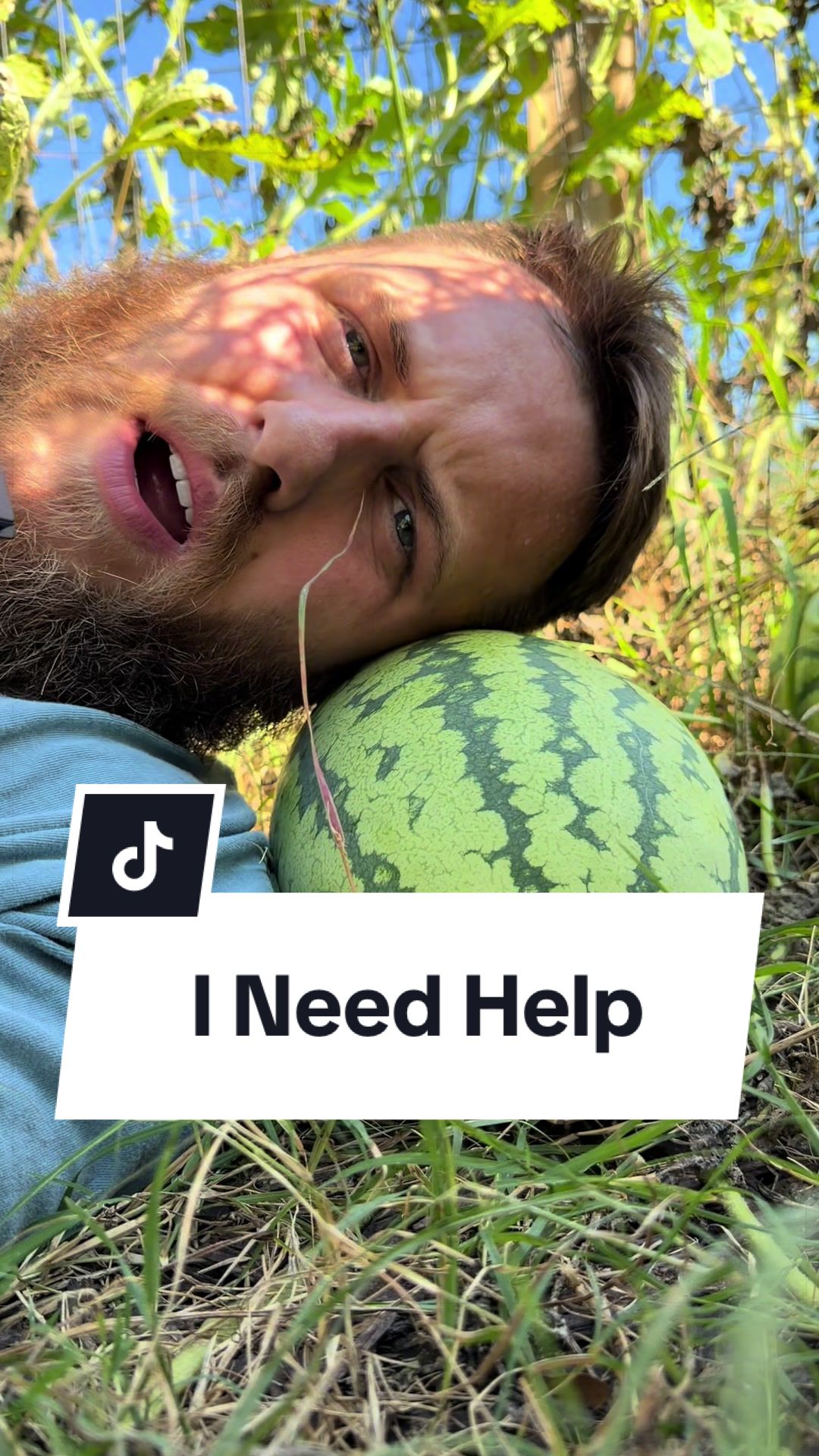 @Bandrhomestead
