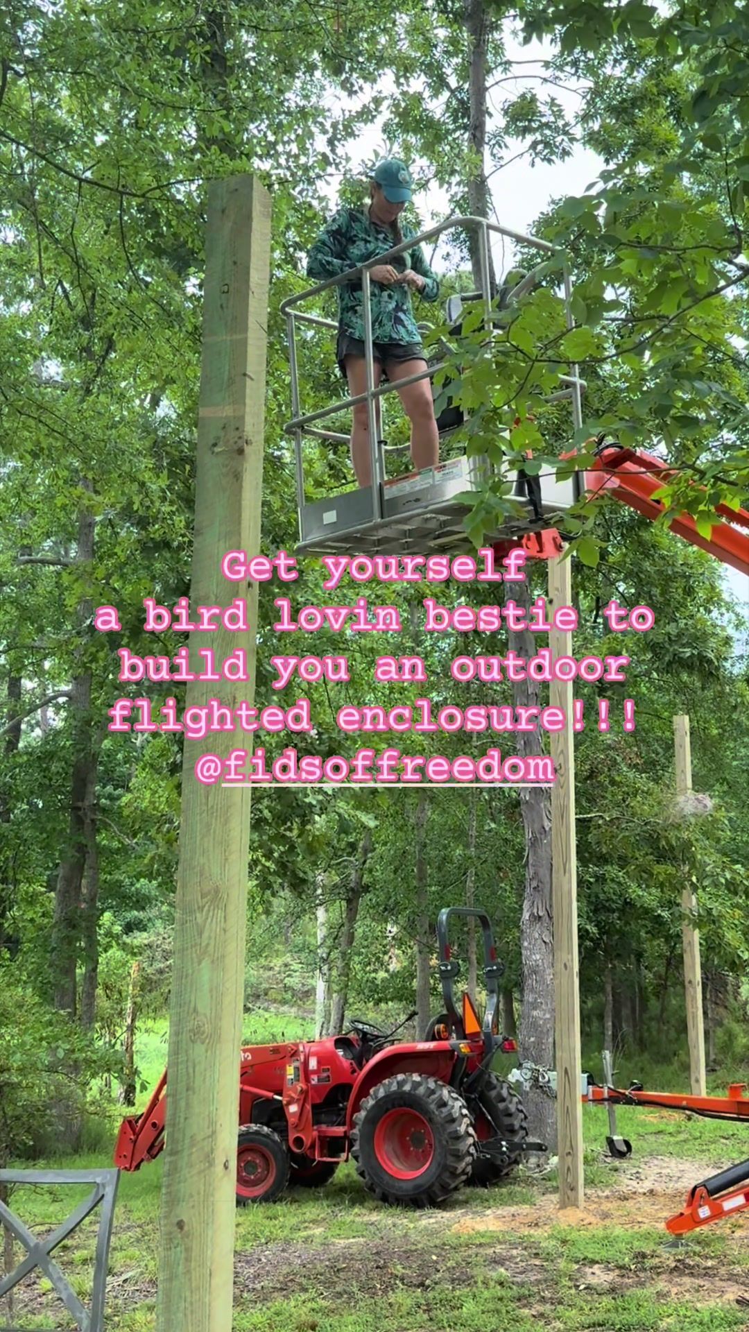 @thehinzoo