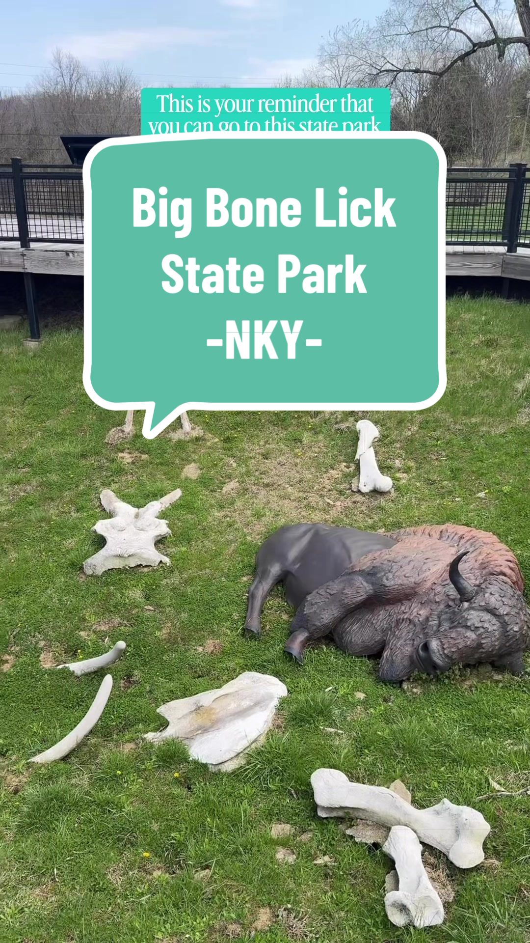 @Michelle: Cincy/NKY Tips