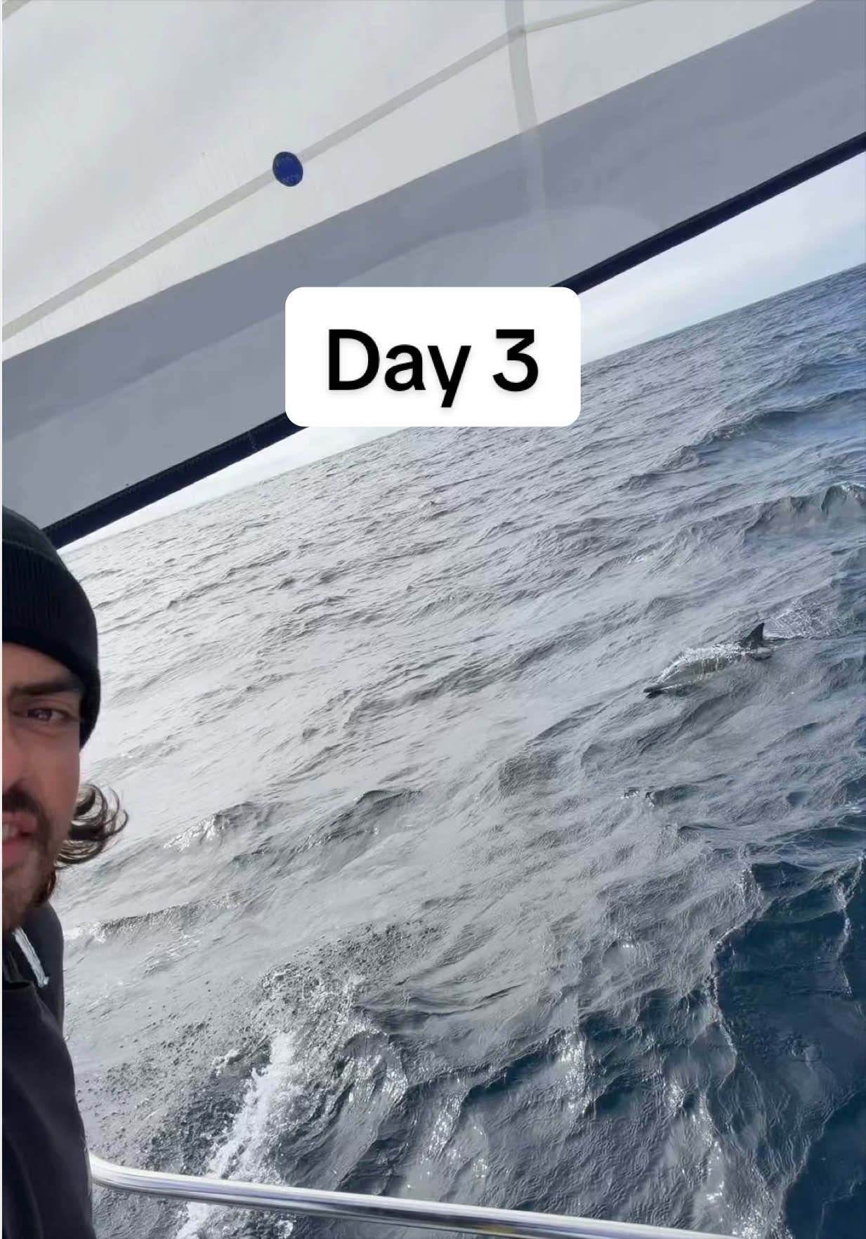 @sailing_with_phoenix