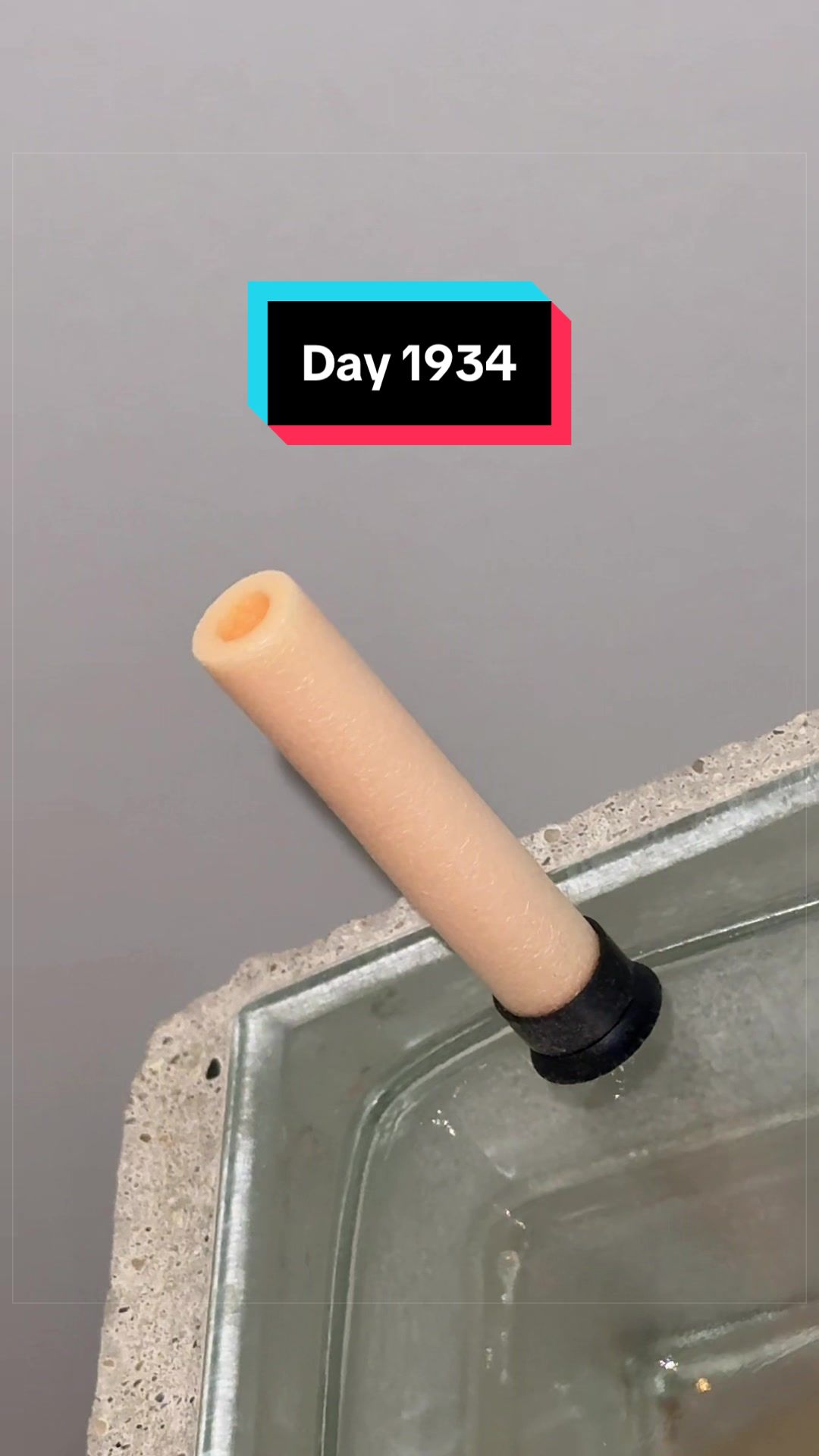 @The Immortal Nerf Dart
