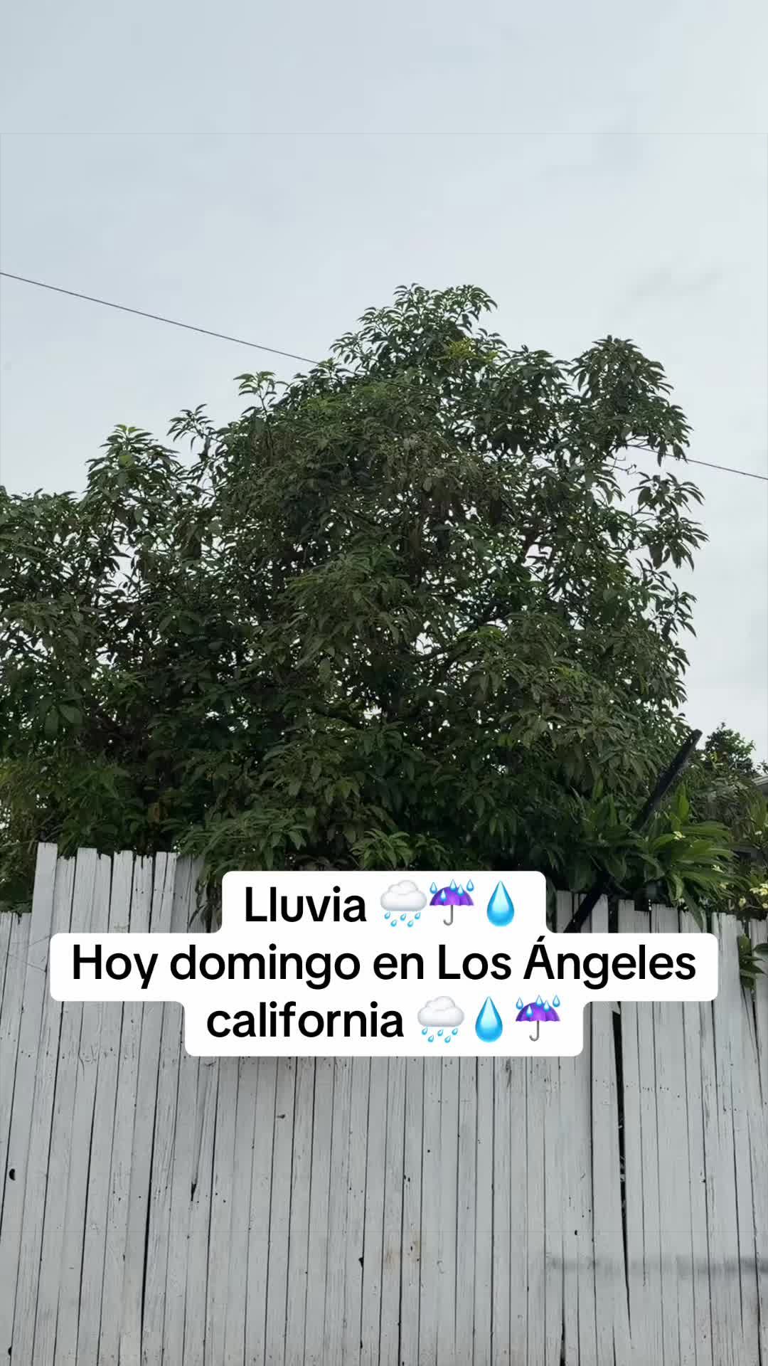 @La Baby🌸🐦&zwj;🔥🇳🇮