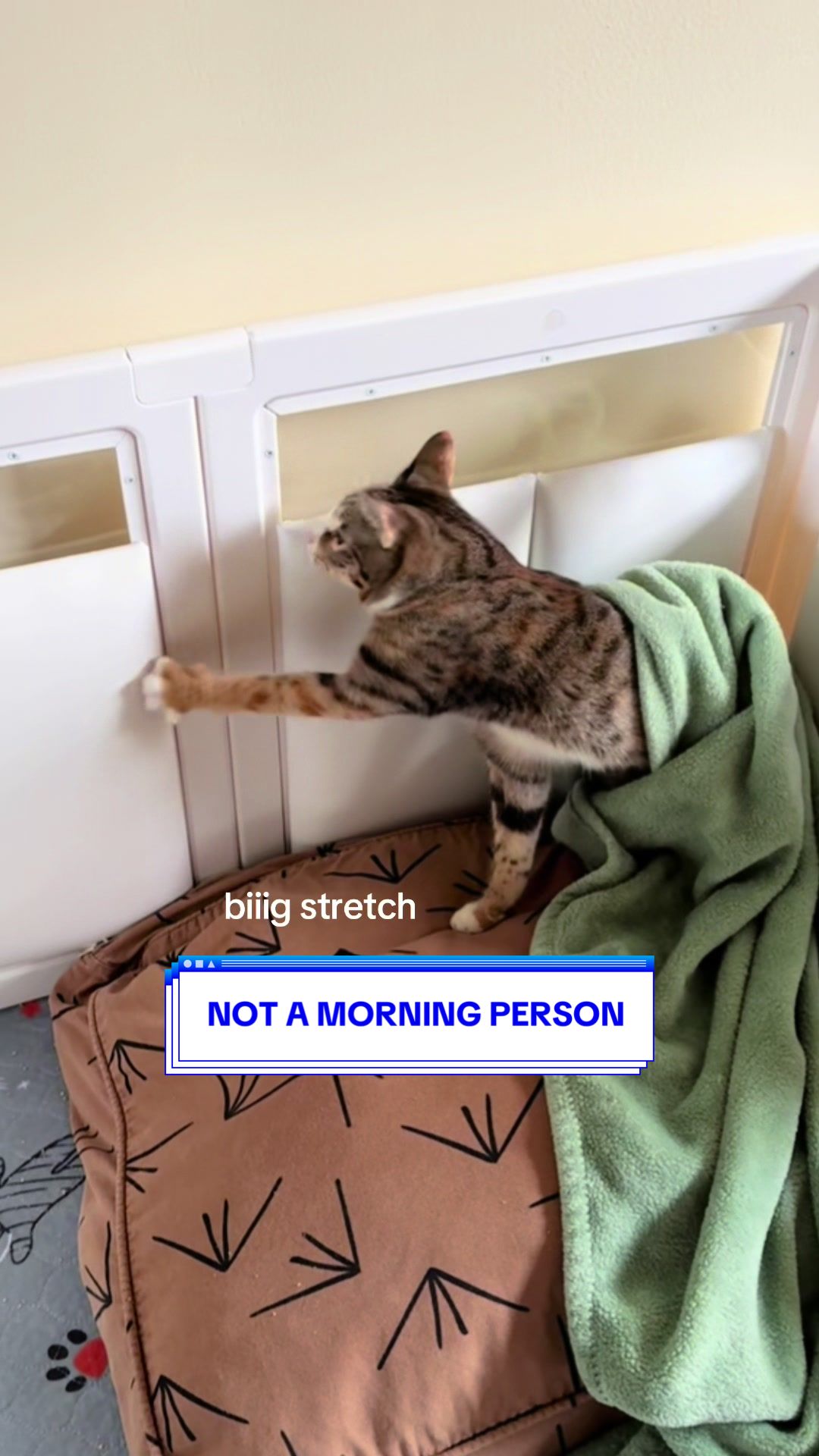 @Ollie Wobbles