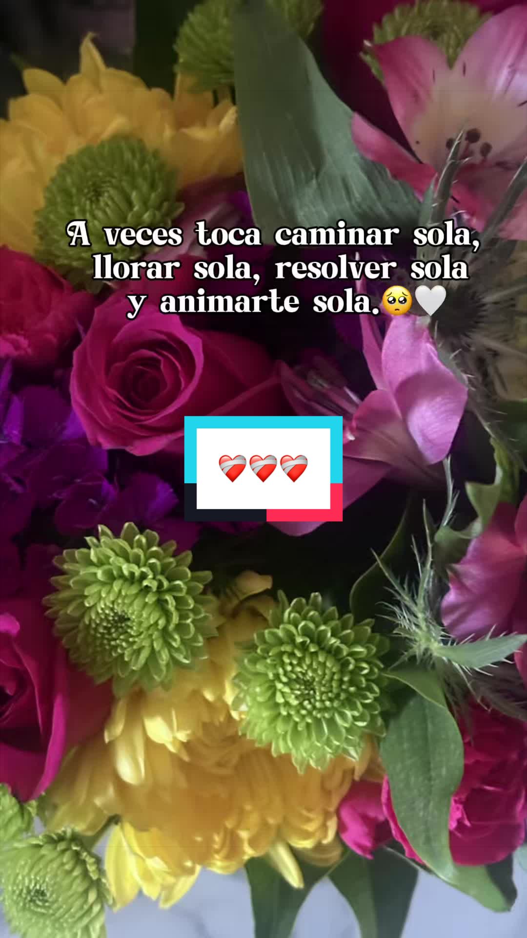 @✨Magdalena🥀✨